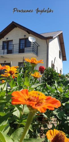 B&B Tulcea - PENSIUNEA AGROTURISTICĂ ANGHELIKI - Bed and Breakfast Tulcea