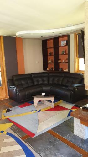Vila Panić Zlatibor - image 3