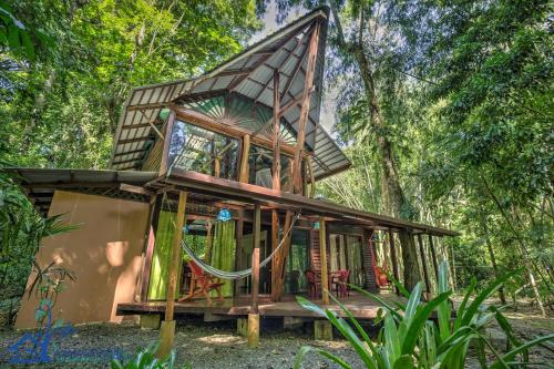 Casa Auratus Exotic Jungle House