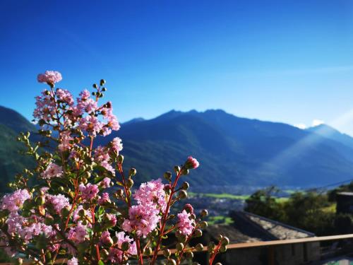 Borgo Selvapiana - main image