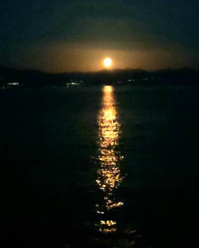 Bousounis Apartments - image 7