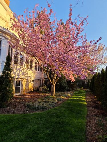 Albemarle Inn - Asheville