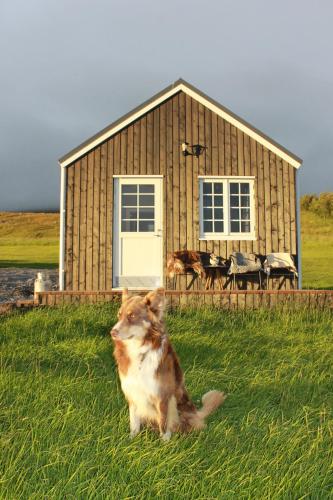 . Sólheimagerði Guesthouse