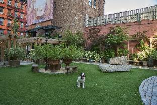 Soho Grand Hotel, New York (fotografie 5)