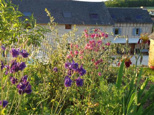 Maison d'Hôtes La Maison de Léopold - image 12