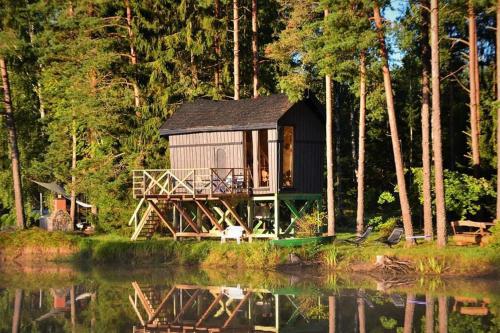 . Dragon house in the tree! Jacuzzi, Sauna ,Cinema,Heated
