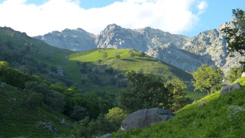Casco Viejo Candeleda - image 12