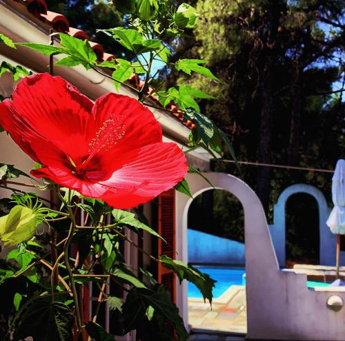  Villa Pilion in Kolios