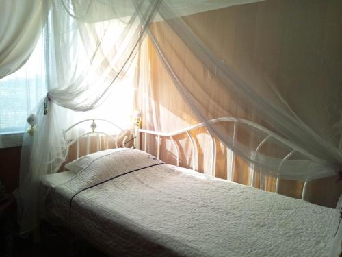 1 twin bed