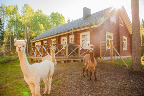 Accommodation in Tampere Region