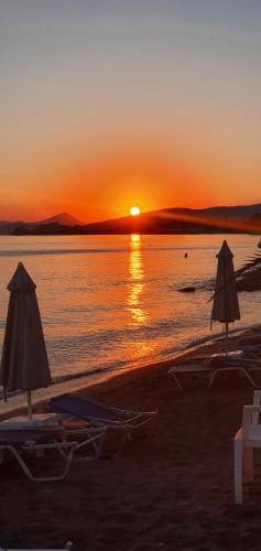 Artemis Hotel, Amarinthos (fotografie 6)