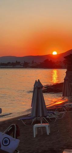 Artemis Hotel, Amarinthos (fotografie 7)