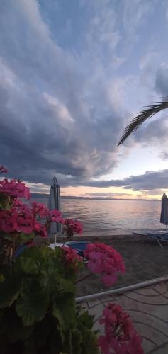 Artemis Hotel, Amarinthos (fotografie 9)