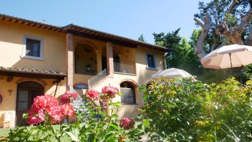 Accommodation in Montopoli in Val dʼArno