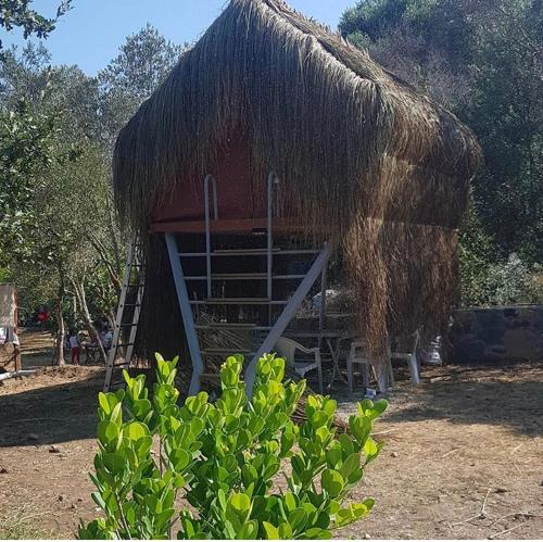 Bodrum Masali Camping - image 11