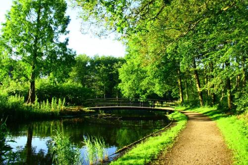 The Royal Suite - R.Q.C. - image 13