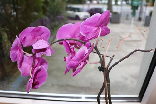 Hotel Regina - image 11