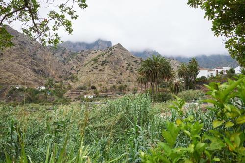 Finca Piñero - image 11