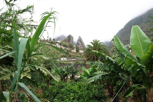 Foto - Finca Piñero