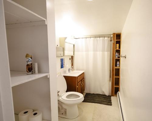 Hanover Adventure Tours Hostel - image 2