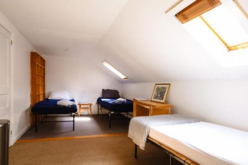 Hanover Adventure Tours Hostel - image 12