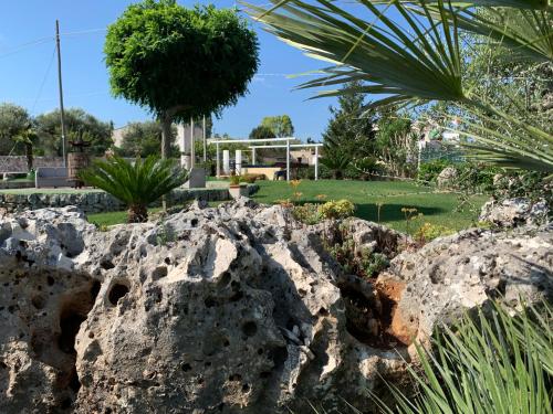 B&B Villa Grassi - image 8