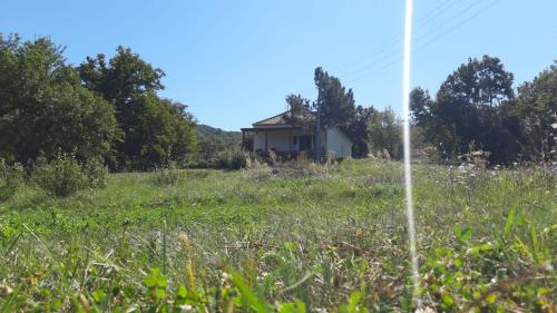 Vila Novaković - image 7