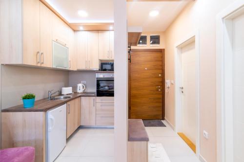 One-Bedroom Apartment image 7