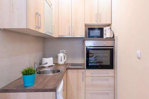 One-Bedroom Apartment image 6