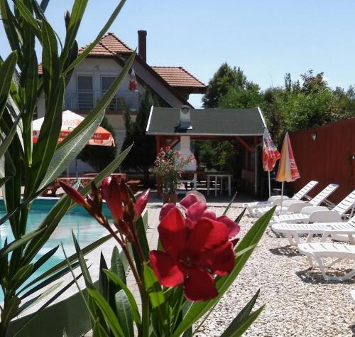  Apartments in Balatonmariafürdo/Balaton 19452 in Balatonmáriafürdő