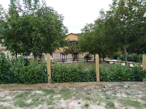  Villa lalli in Salcito