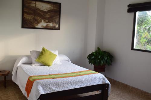 2 twin beds