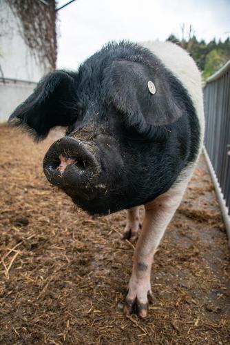 Gut Tausendbachl Gut Tausendbachl