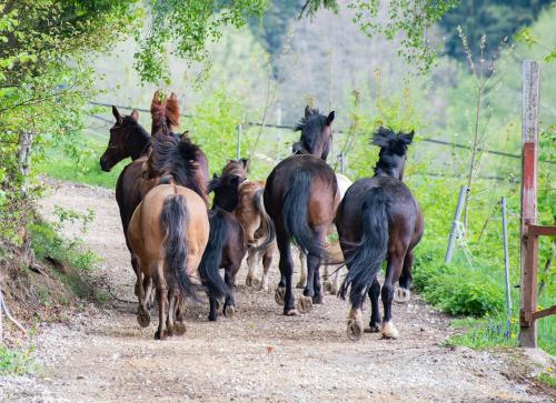 Gut Tausendbachl Gut Tausendbachl