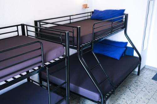 Bed in 4-Bed Mixed Dormitory Room