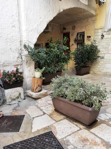  Al Sottano 19 in Bari