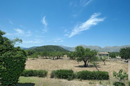 Villa image 10