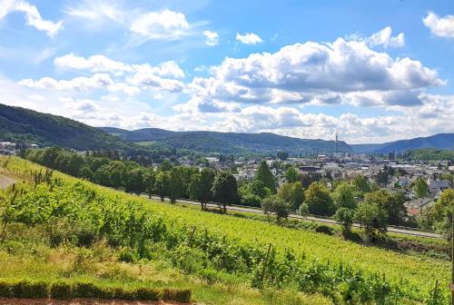 Schloss Arenfels