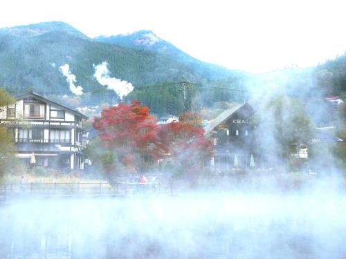 Yufu - Hotel / Vacation STAY 53139
