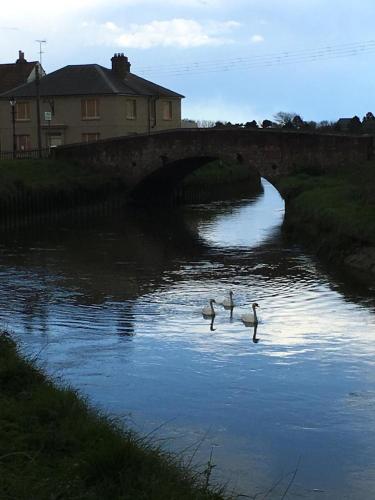 Delightful cottage on the River Adur close to Brighton & the Downs no dogs sorry