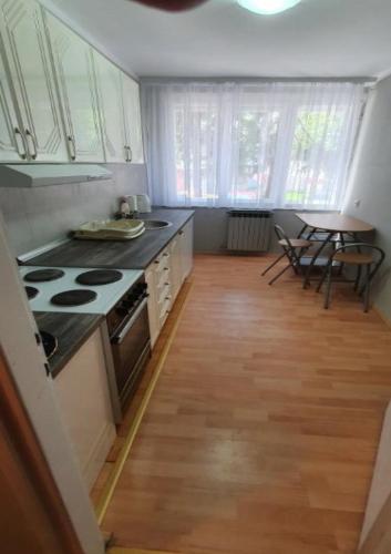 Apartment Mint, Soko Banja (fotografie 5)