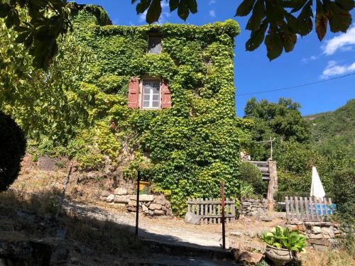 La Calade de Craysoules - Gorges du Tapoul