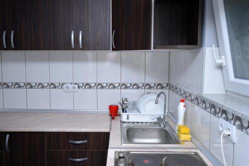 Apartman Stevanovic - image 11