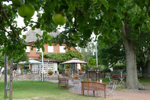 Landgasthof Kasch - Hotel und Restaurant