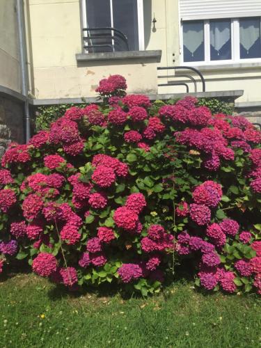 Vos vacances dans le Morbihan