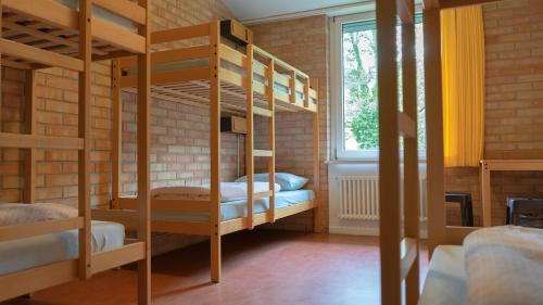 Bed in 6-Bed Dormitory Room