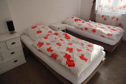 Nice City Apartment, Berlino (foto 6)