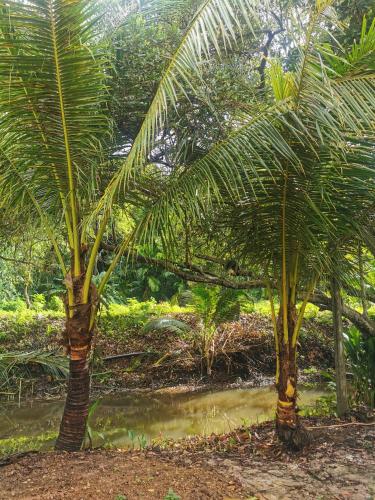 Baan Chan Sabai in Tha Mai