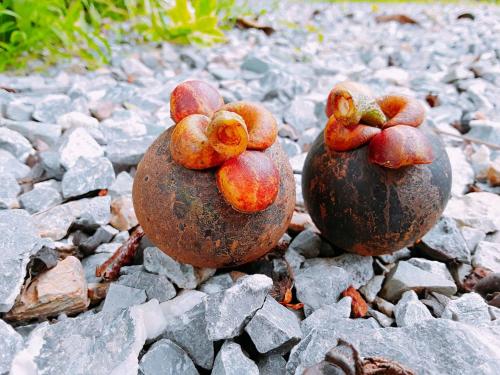 Baan Chan Sabai in Tha Mai