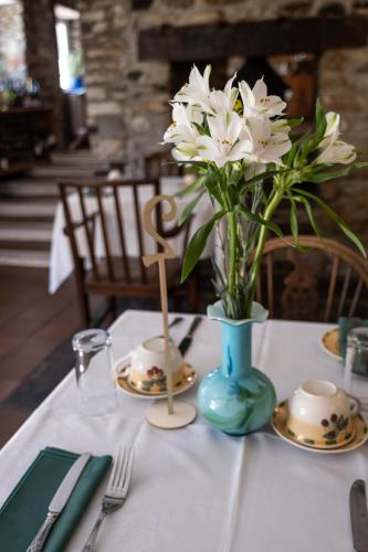 Ty Mawr Country Hotel - main image